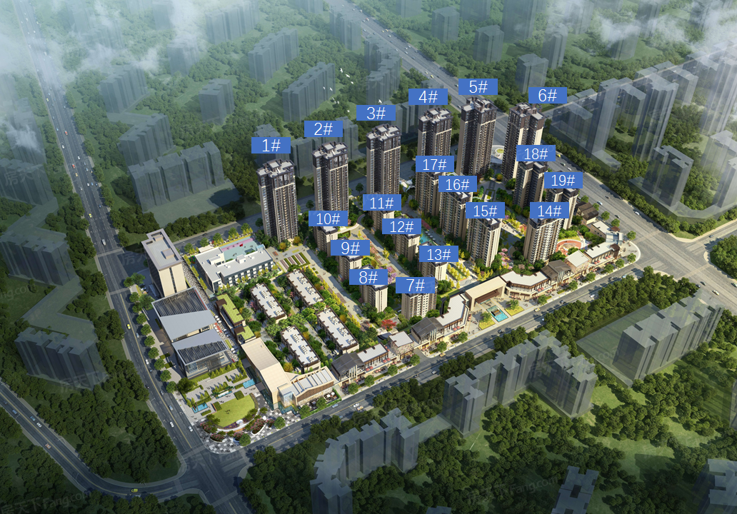 成锦熙锦5号